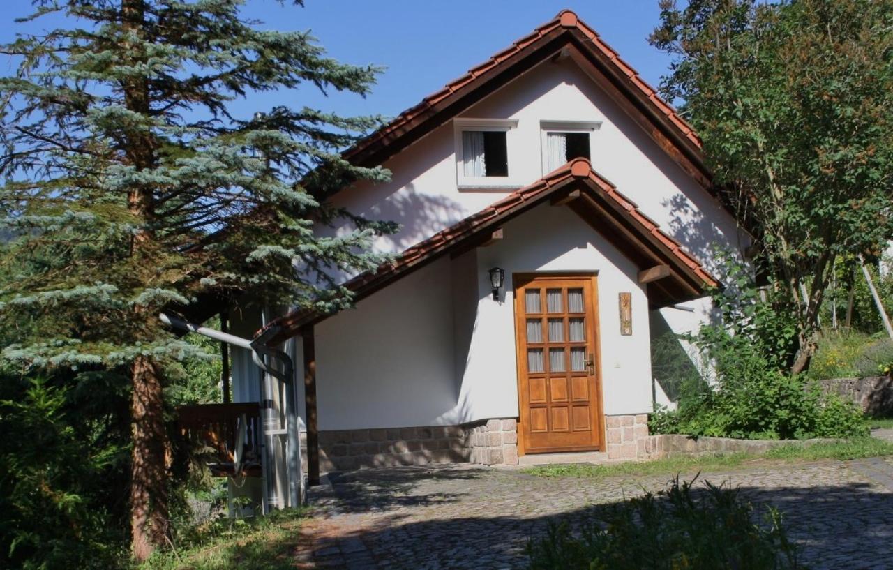 Ferienhaus "Am Schleifenbach" Saalfeld Saale Buitenkant foto